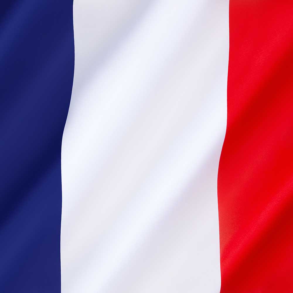 Certificazione linguistica Francese FormarsiperLavorare.it